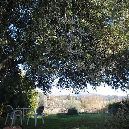Agriturismo Fattoria Di Malavolta Florencja Zewnętrze zdjęcie