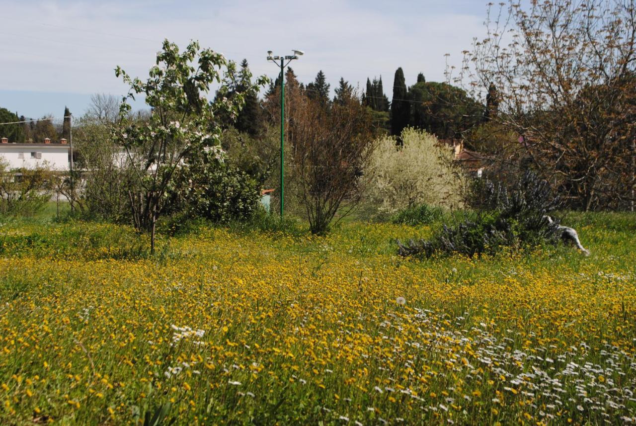 Agriturismo Fattoria Di Malavolta Florencja Zewnętrze zdjęcie