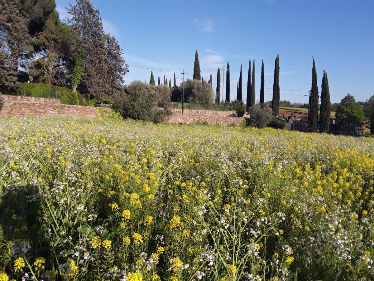 Agriturismo Fattoria Di Malavolta Florencja Zewnętrze zdjęcie